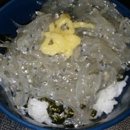 初めて生シラス丼作ってみました。
生姜はチュープですが美味しかったです。熱海温泉で食べた味を思い出しました。